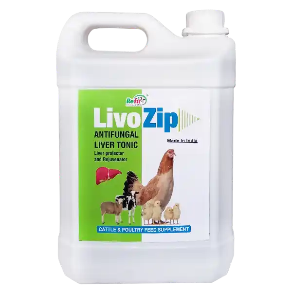 Livo Zip - Anti-Fungal Liver Tonic For Cattle & Poultry - 5 Ltr - Set of 6
