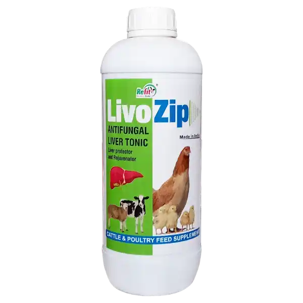 Livo Zip - Anti-Fungal Liver Tonic For Cattle & Poultry - 1 Ltr - Set of 12