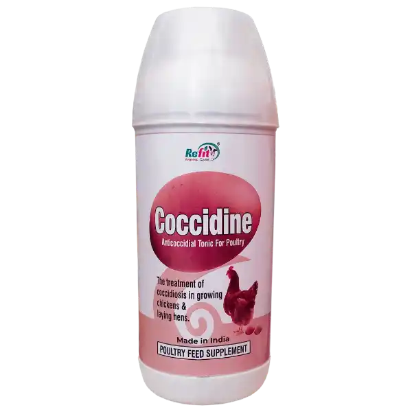 Coccidine - Anti-Coccidial Tonic For Poultry - 1 Ltr - Set of 12