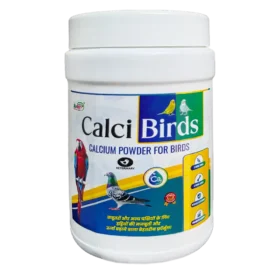 calcibirds