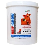 Heif Grow - Growth Promoter Powder For Calf & Heifer - 1 Kg - Set of 12