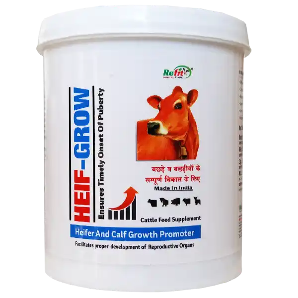 Heif Grow - Growth Promoter Powder For Calf & Heifer - 1 Kg - Set of 12