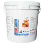 Heif Grow - Growth Promoter Powder For Calf & Heifer - 10 Kg - Set of 4