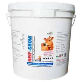 calf growth supplements 1536x1536 1