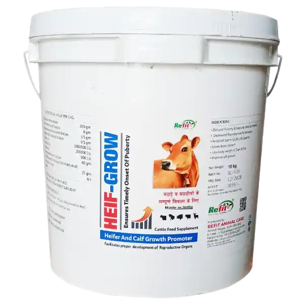 Heif Grow - Growth Promoter Powder For Calf & Heifer - 10 Kg - Set of 4