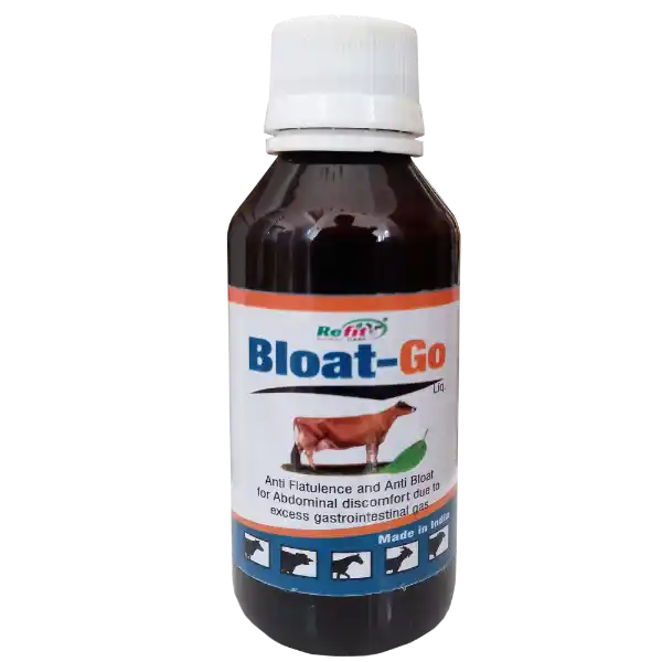 Bloat Go - Anti-Bloat Supplement - 100 ml (Set of 144)