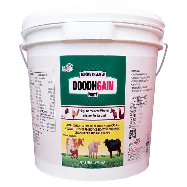 Doodh Gain - Glycine Chelated Mineral Mixture For Cattle & Poulty - 10 Kg - Set of 4