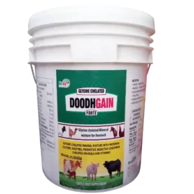 Doodh Gain - Glycine Chelated Mineral Mixture For Cattle & Poulty - 20 Kg - Set of 2