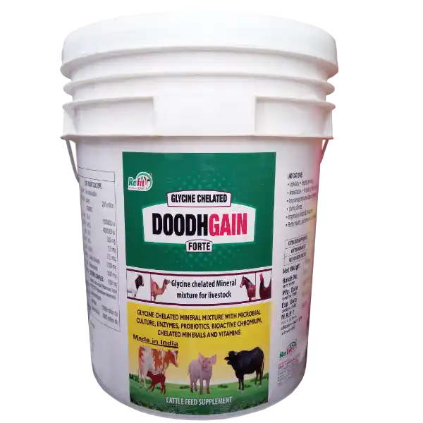 Doodh Gain - Glycine Chelated Mineral Mixture For Cattle & Poulty - 20 Kg - Set of 2