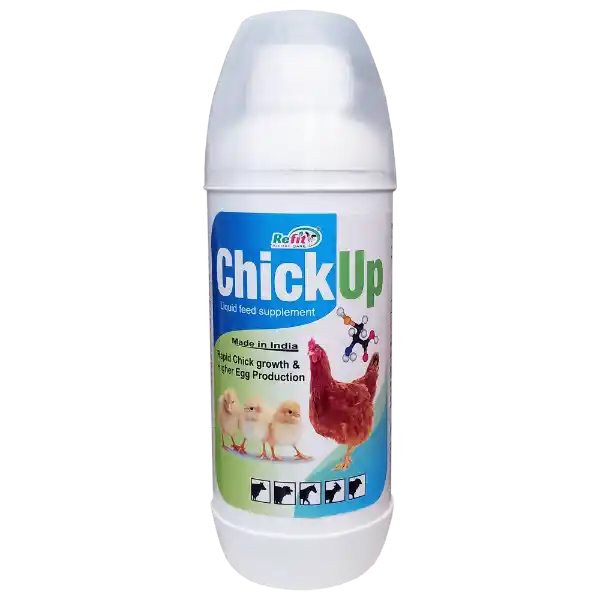 Chick Up - Chicks Growth Promoter - 500 ml - Set of 20