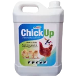 Chick Up - Chicks Growth Promoter - 5 Ltr - Set of 6