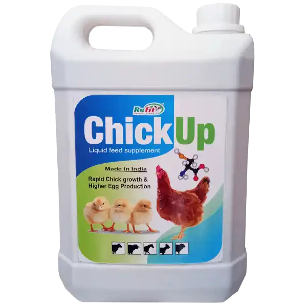 Chick Up - Chicks Growth Promoter - 5 Ltr - Set of 6