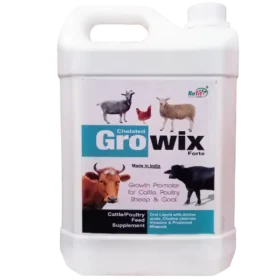 cow growth booster 1536x1536 1