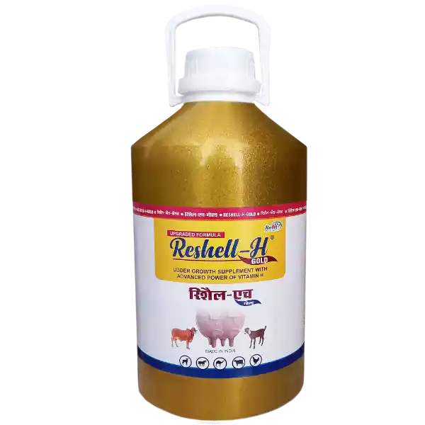 Reshell-H Gold - Vitamin-H For Cattle & Poultry - 5 Ltr - Set of 4