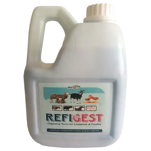 Refigest - Digestive Tonic For Catle & Poultry - 2 Ltr - Set of 6