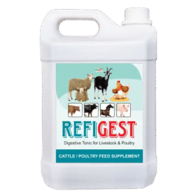 Refigest - Digestive Tonic For Catle & Poultry - 5 Ltr - Set of 6