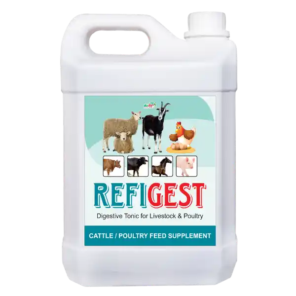 Refigest - Digestive Tonic For Catle & Poultry - 5 Ltr - Set of 6