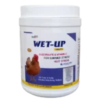 Wet-Up Tablets - Electrolyte Tablets for Poultry - 1 Kg - Set of 16