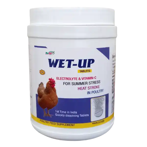 Wet-Up Tablets - Electrolyte Tablets for Poultry - 1 Kg - Set of 16