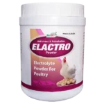 Elactro - Electrolyte Powder For Poultry - 1 Kg - Set of 16