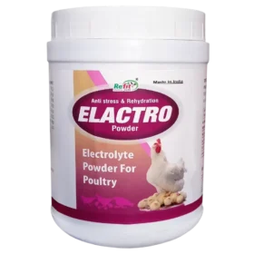 electrolyte powder poultry 1536x1536 1