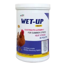 electrolyte tablets supplement