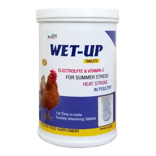 Wet-Up Tablets - Electrolyte Tablets for Poultry - 500 gm - Set of 20