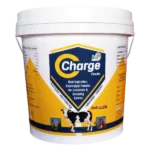 C-Charge - Electrolyte Powder For Cattle - 5 Kg - Set of 6