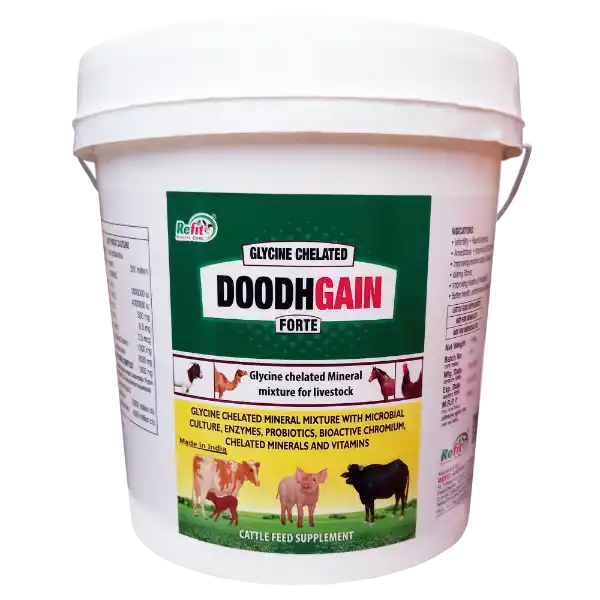 Doodh Gain - Glycine Chelated Mineral Mixture For Cattle & Poulty - 5 Kg - Set of 6