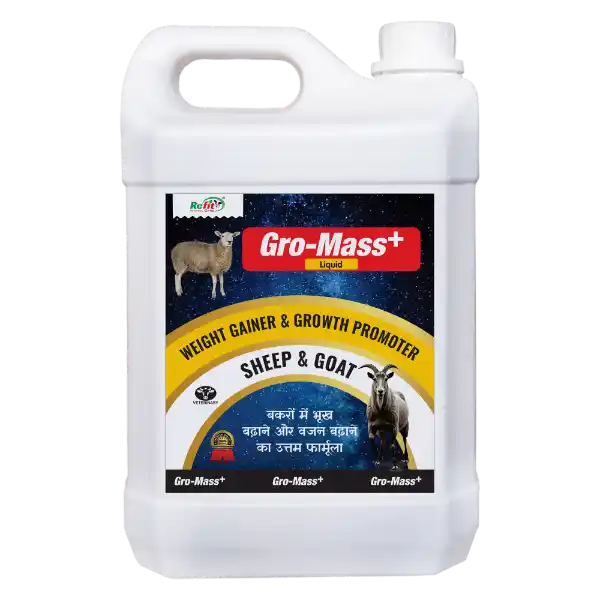 Gro-Mass+ - Liquid Weight Gainer for Sheep & Goat - 5 Ltr (Set of 6)
