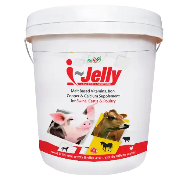 I-Jelly - Malt Based Iron Supplement For Cattle & Poultry - 5 Kg - Set of 6