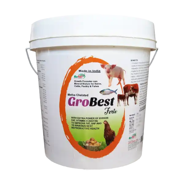 GroBest - Metho Chelated Mineral Mixture For Cattle, Poultry & Aqua - 5 Kg - Set of 6