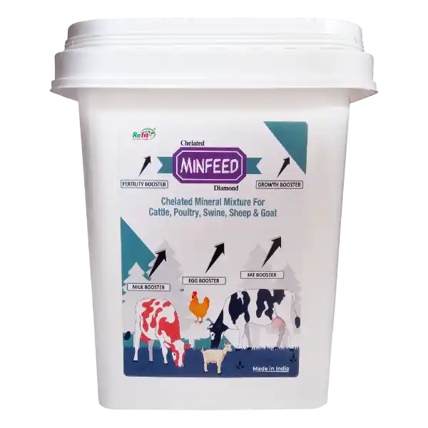 Minfeed Diamond - Chelated Mineral Mixture For Cattle & Poultry - 5 Kg - Set of 6