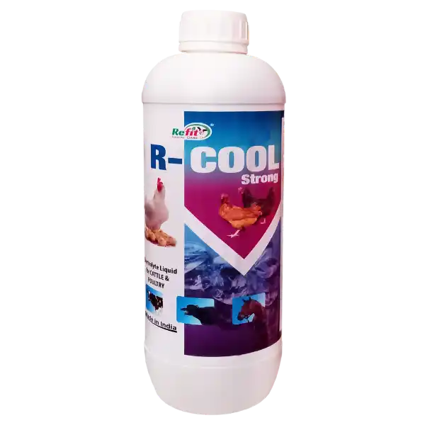R-Cool Strong - Electrolyte Liquid For Cattle & Poultry - 1 Ltr - Set of 12