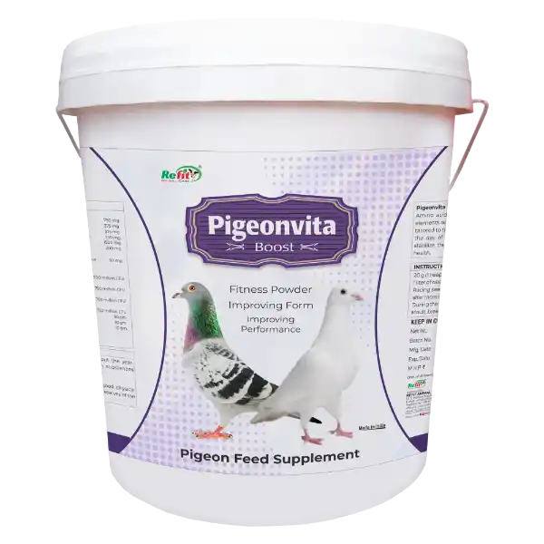 Pigeonvita Boost - Fitness Powder For Pigeons - 5 Kg - Set of 6