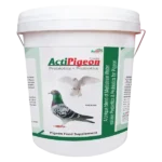 ActiPigeon - Prebiotics & Probiotics for Pigeon - 10 Kg - Set of 4