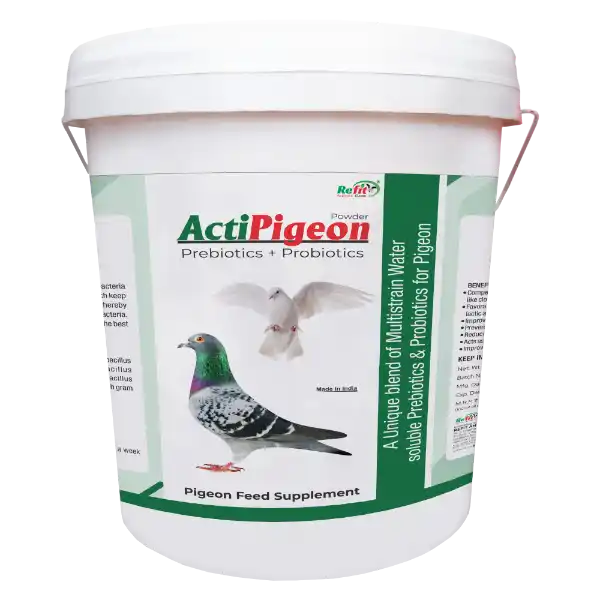 ActiPigeon - Prebiotics & Probiotics for Pigeon - 10 Kg - Set of 4