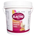 Elactro - Electrolyte Powder For Poultry - 5 Kg - Set of 6