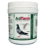ActiPigeon - Prebiotics & Probiotics for Pigeon - 500 gm - Set of 30