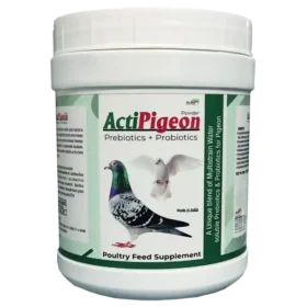ActiPigeon - Prebiotics & Probiotics for Pigeon - 500 gm - Set of 30