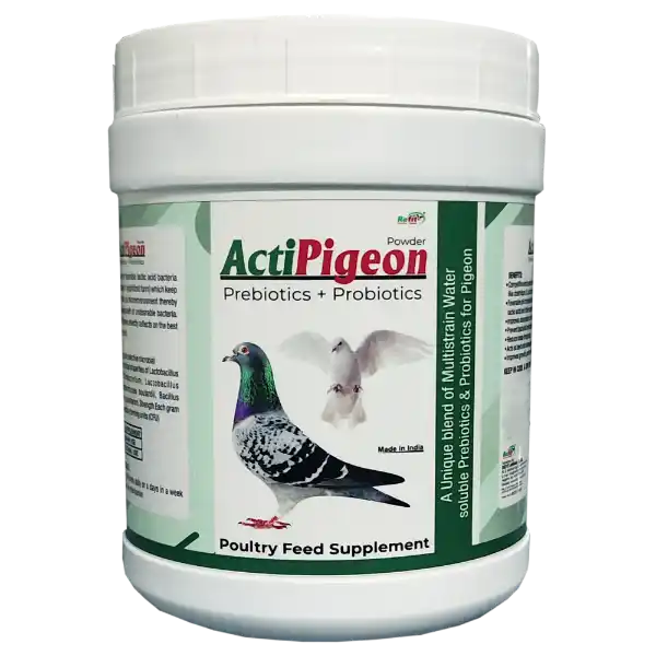 ActiPigeon - Prebiotics & Probiotics for Pigeon - 500 gm - Set of 30