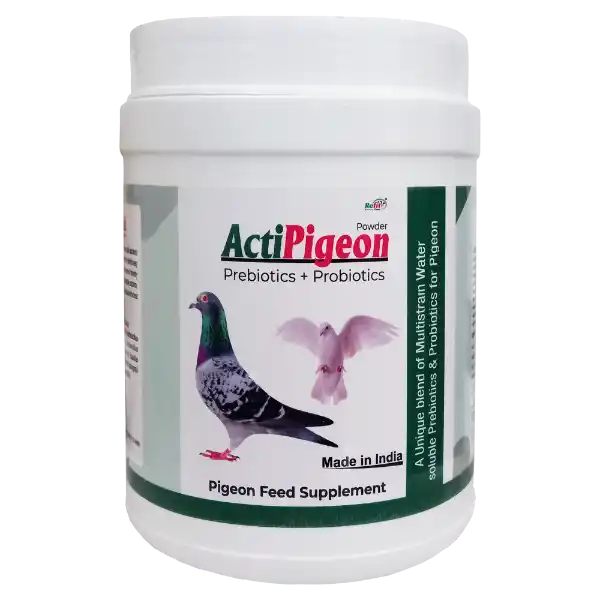 ActiPigeon - Prebiotics & Probiotics for Pigeon - 1 Kg - Set of 16