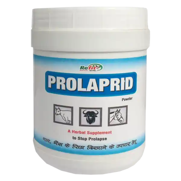 Prolaprid - Powder For Prolapse in Cattle - 500 gm (Set of 30)
