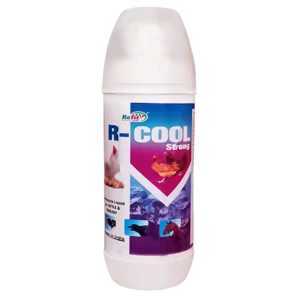 R-Cool Strong - Electrolyte Liquid For Cattle & Poultry - 500 ml - Set of 20