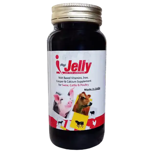 I-Jelly - Malt Based Iron Supplement For Cattle & Poultry - 450 gm - Set of 20