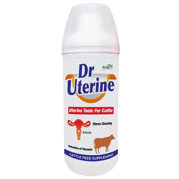 Dr. Uterine - Uterine Tonic For Cattle - 500 ml - Set of 24