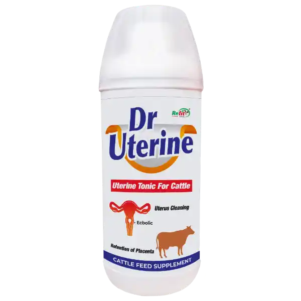 Dr. Uterine - Uterine Tonic For Cattle - 1 Ltr - Set of 12
