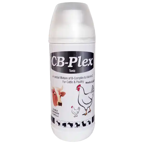 CB Plex - B-Complex For Cattle & Poultry - 1 Ltr - Set of 12