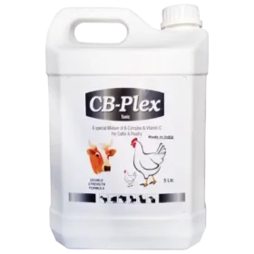 vitamin b complex for poultry 1536x1536 1