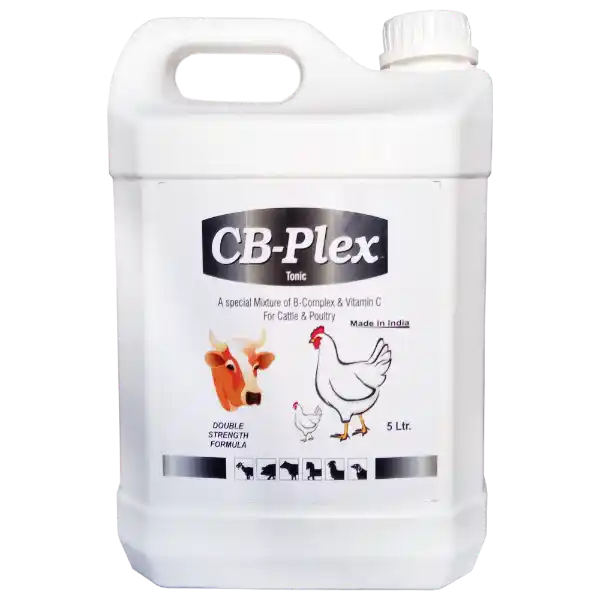CB Plex - B-Complex For Cattle & Poultry - 5 Ltr - Set of 6